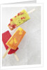 Homemade ice pops by Anonymous