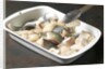 Fish fillets by Anonymous