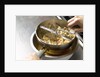 Ingredients in a food mill by Anonymous