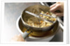 Ingredients in a food mill by Anonymous