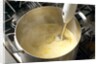 Immersion blender by Anonymous