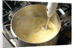 Immersion blender by Anonymous