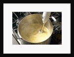 Immersion blender by Anonymous