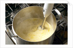 Immersion blender by Anonymous