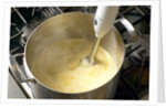 Immersion blender by Anonymous