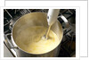Immersion blender by Anonymous