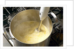 Immersion blender by Anonymous