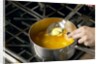 Cooked potato by Anonymous