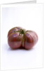 Heirloom tomato by Anonymous