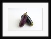 Eggplant by Anonymous