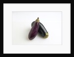 Eggplant by Anonymous