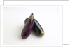 Eggplant by Anonymous