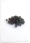 Juniper berries by Anonymous