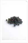 Juniper berries by Anonymous