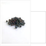 Juniper berries by Anonymous