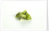 Diced kiwi by Anonymous