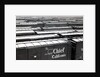 Railroad boxcars in rail yard, Chicago, Illinois, USA, ca. 1950 by Anonymous