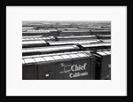Railroad boxcars in rail yard, Chicago, Illinois, USA, ca. 1950 by Anonymous