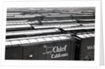 Railroad boxcars in rail yard, Chicago, Illinois, USA, ca. 1950 by Anonymous