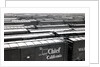 Railroad boxcars in rail yard, Chicago, Illinois, USA, ca. 1950 by Anonymous
