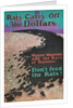 Rats Carry Off the Dollars by Anonymous