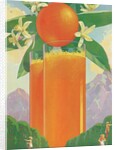 Giant Glasses of Orange Juice by Anonymous