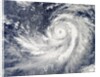 Satellite image of Typhoon Francisco over the Pacific Ocean by Anonymous