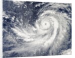 Satellite image of Typhoon Francisco over the Pacific Ocean by Anonymous