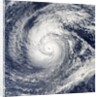 Satellite image of Typhoon Francisco over the Paciific Ocean by Anonymous