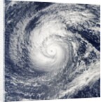 Satellite image of Typhoon Francisco over the Paciific Ocean by Anonymous