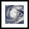 Satellite image of Typhoon Francisco over the Paciific Ocean by Anonymous