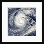 Satellite image of Typhoon Francisco over the Paciific Ocean by Anonymous