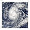 Satellite image of Typhoon Francisco over the Paciific Ocean by Anonymous