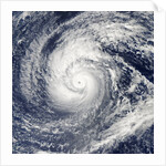 Satellite image of Typhoon Francisco over the Paciific Ocean by Anonymous