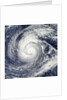Satellite image of Typhoon Francisco over the Paciific Ocean by Anonymous