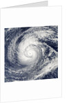 Satellite image of Typhoon Francisco over the Paciific Ocean by Anonymous