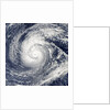 Satellite image of Typhoon Francisco over the Paciific Ocean by Anonymous