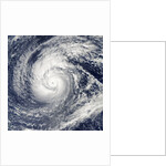 Satellite image of Typhoon Francisco over the Paciific Ocean by Anonymous