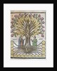 Llull, Ramon (1233/1235-1315/1316) by Anonymous