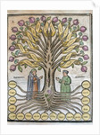 Llull, Ramon (1233/1235-1315/1316) by Anonymous