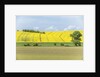 Spring Farm Fields by Anonymous