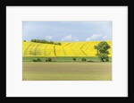 Spring Farm Fields by Anonymous