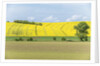 Spring Farm Fields by Anonymous