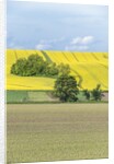Spring Farm Fields by Anonymous