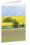 Spring Farm Fields by Anonymous