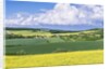 Spring Farm Fields by Anonymous