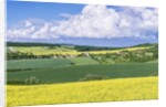 Spring Farm Fields by Anonymous