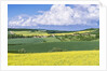 Spring Farm Fields by Anonymous