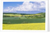 Spring Farm Fields by Anonymous