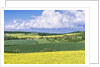 Spring Farm Fields by Anonymous
